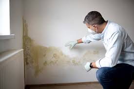 Mold Removal for HVAC Installations in New Castle, DE